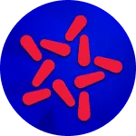 Logo MBBank